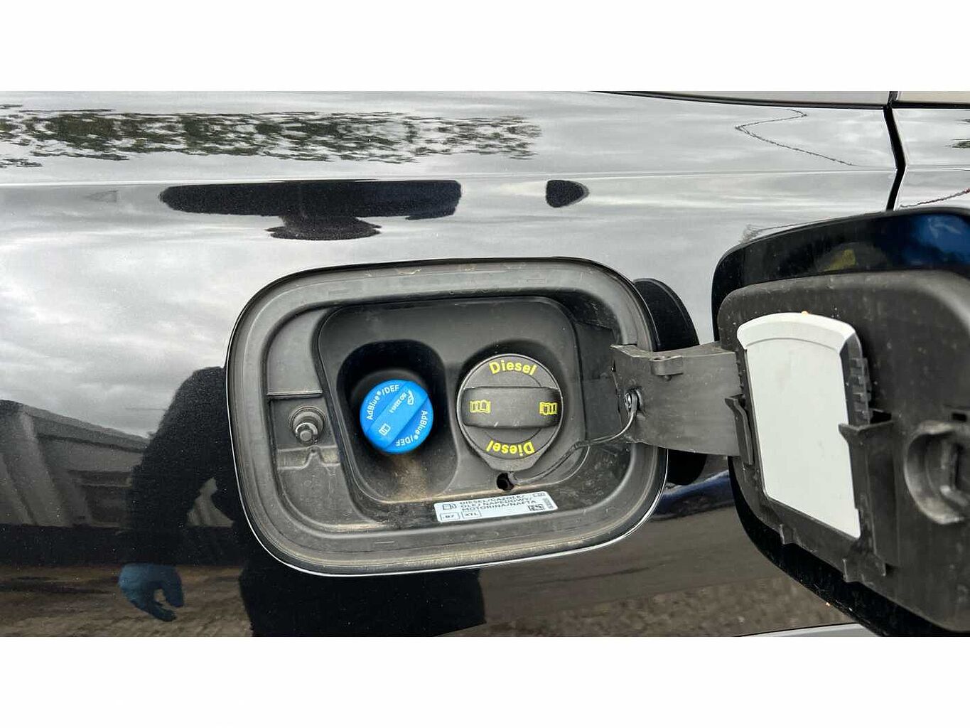 SKODA KODIAQ 2.0 TDI 193 SE L 4X4 5dr DSG [7 Seat]